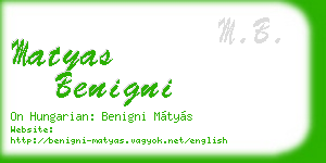 matyas benigni business card